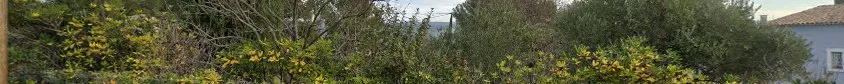 Accès sérénité